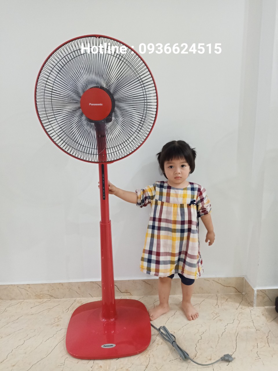 z2413204822953_ece1b0ee54924619b79180f1bfe72924