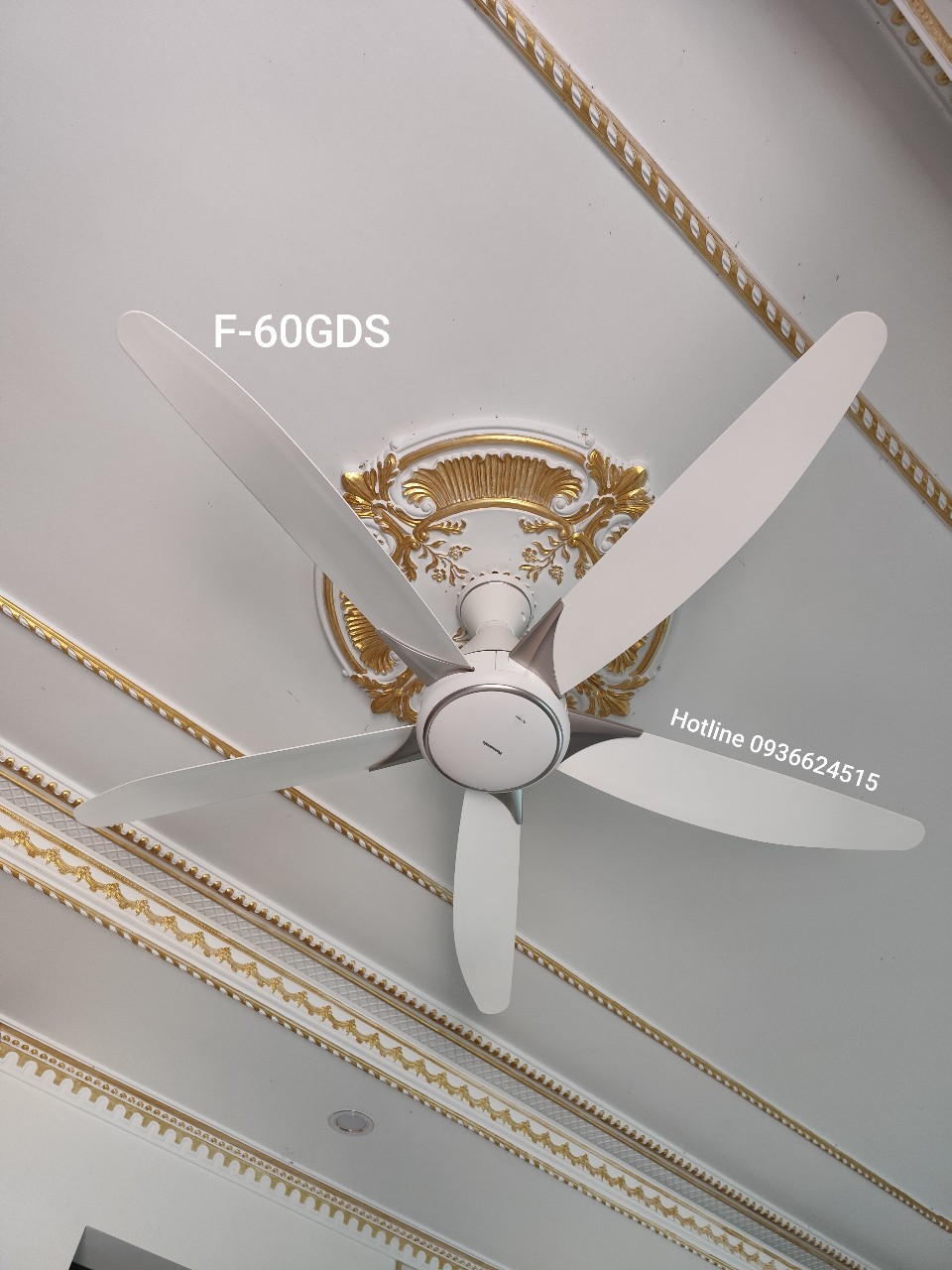 z6583238162069_c6af3972112368558b1e4b401dc1b18c (1)