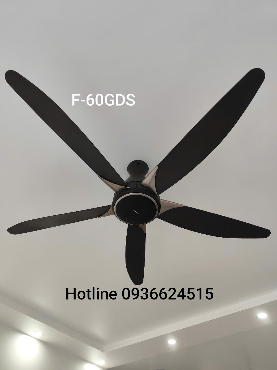 Quạt trần 5 cánh Panasonic F-60GDS