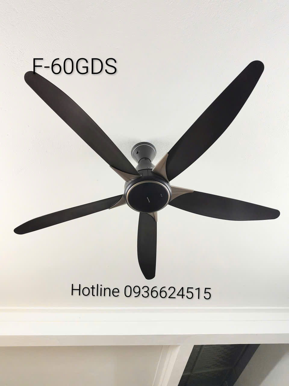 Quạt trần Panasonic F-60GDS