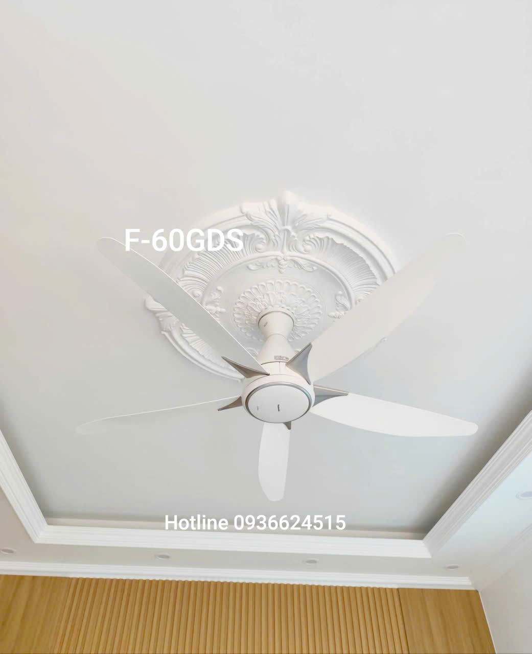 Quạt trần Panasonic F-60GDS