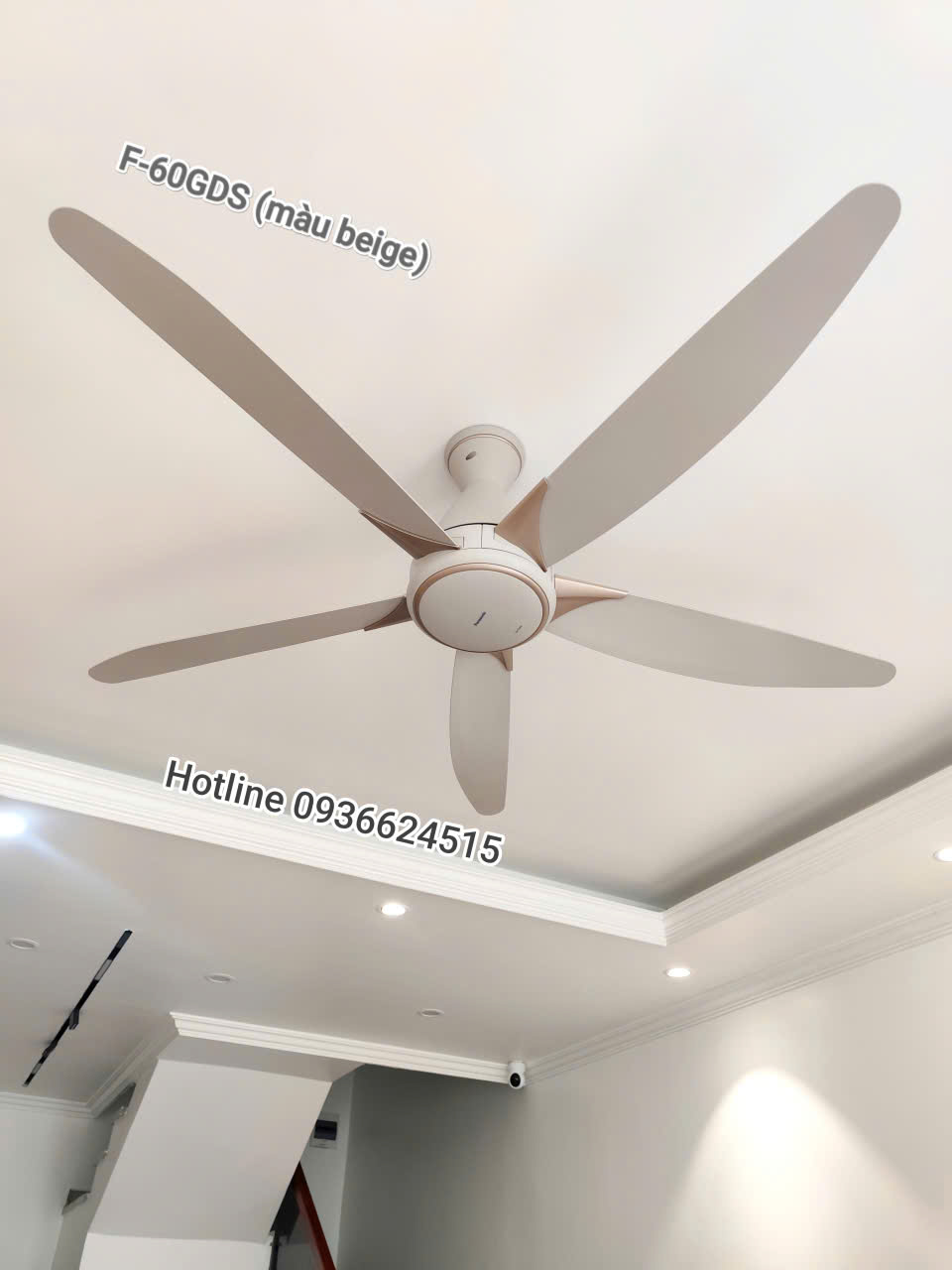 Quạt trần Panasonic F-60GDS